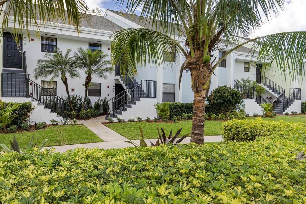 A white building with a black railing and a palm tree in front.